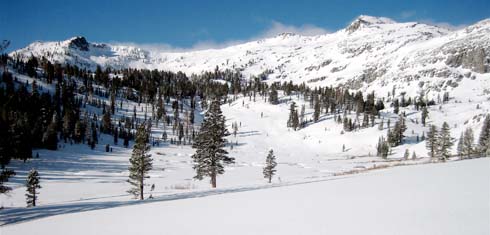 Image of Foresetdale Creek